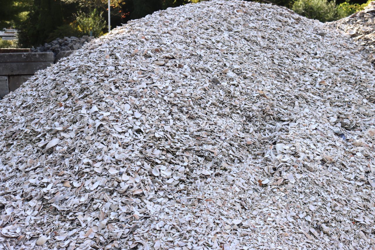 Crushed Seashells for Landscaping