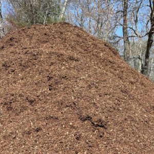 Brown Mulch