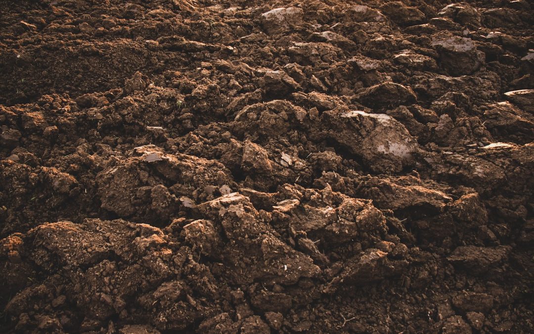 Building from the Ground Up: Why Loam Is Essential for Landscaping & Construction Projects