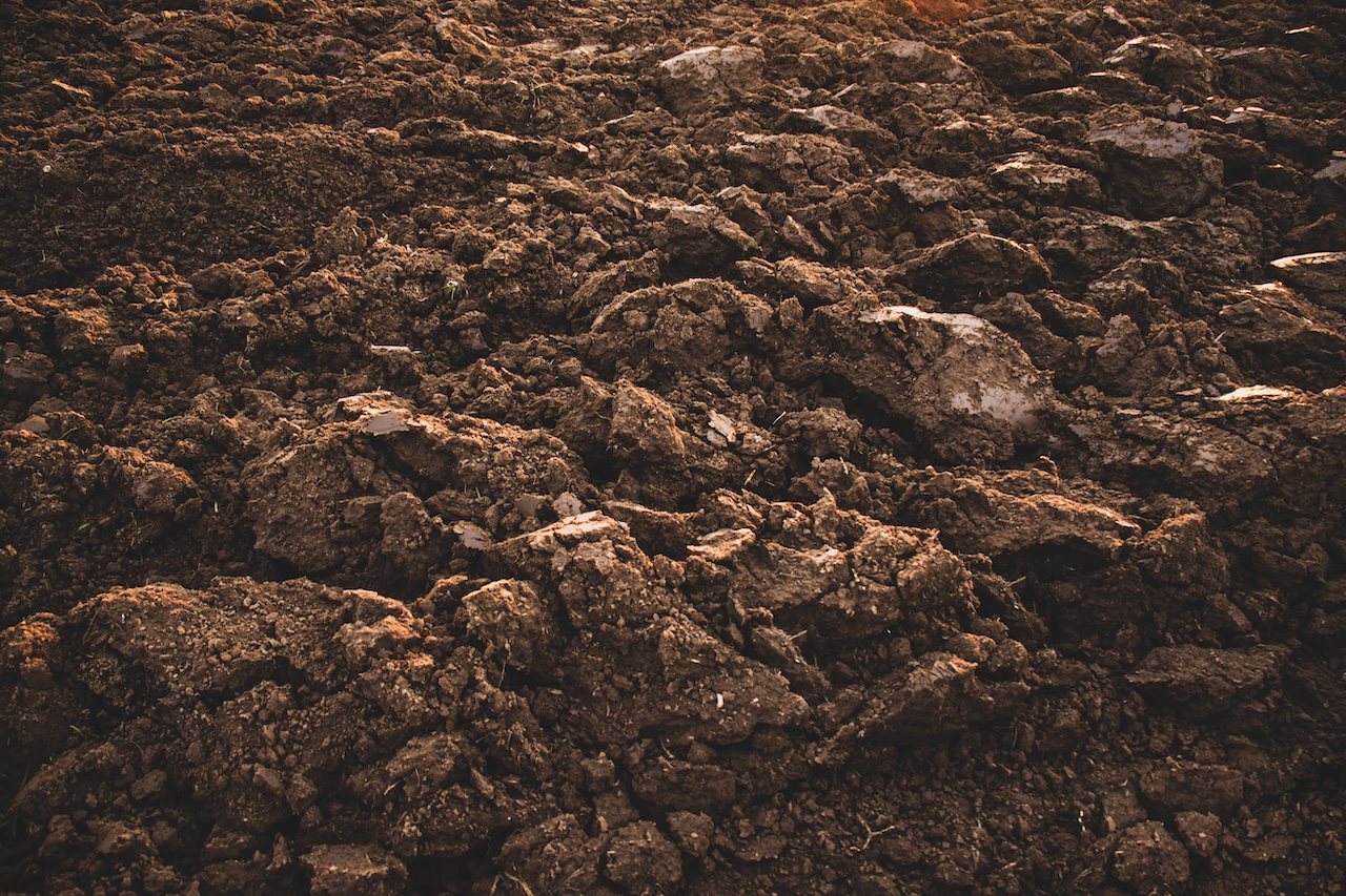 Discover why loam is a vital material for landscaping and construction projects. Learn how screened loam supports healthy lawns, planting beds, grading, and long-lasting outdoor results.