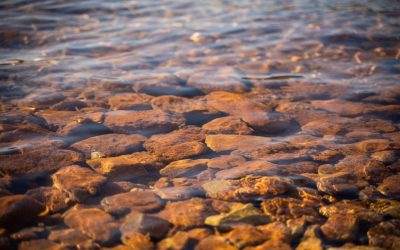 Drainage Stone for Water Management Systems: Preventing Flooding, Erosion, and Structural Damage